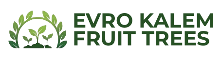 evro-kalem-green-logo-transp